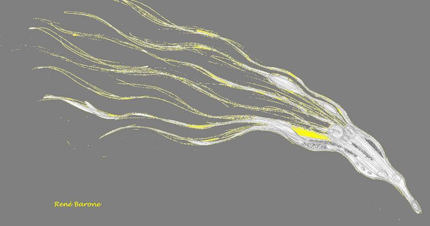 abstrait 006